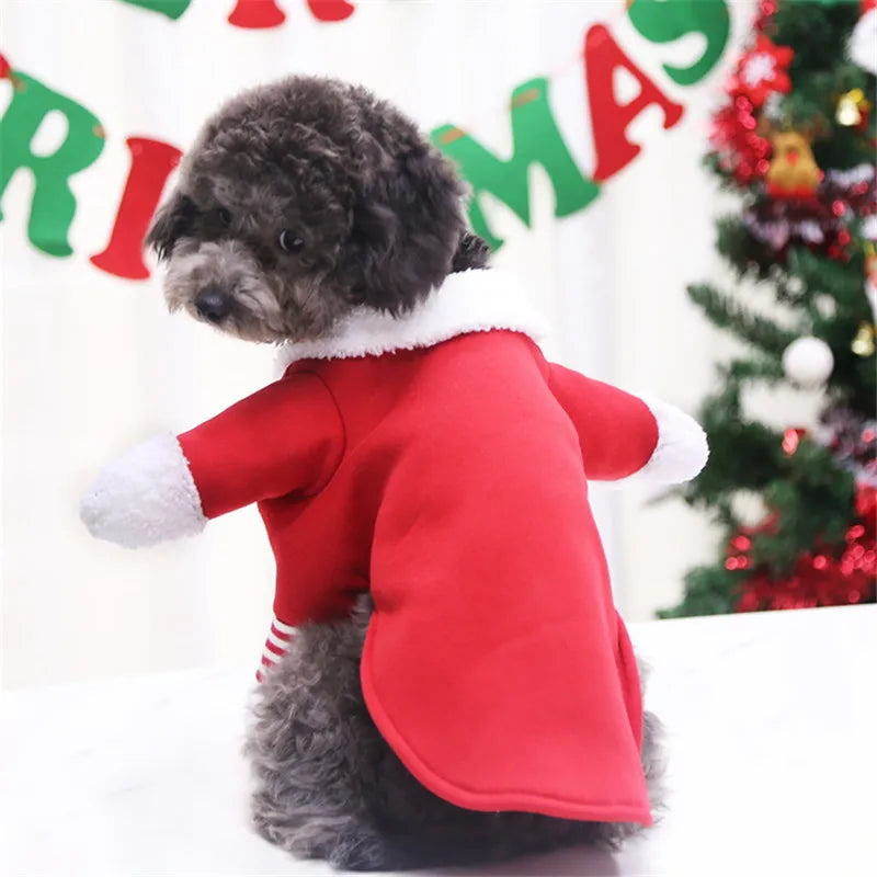 MerryPaws Dog Outfit