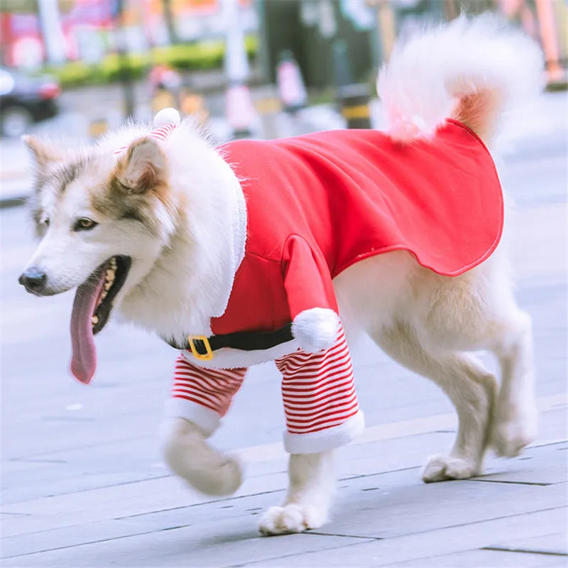 MerryPaws Dog Outfit