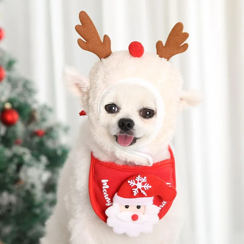 PawReindeer Pet Set