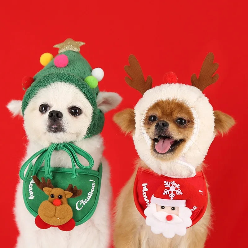 PawReindeer Pet Set