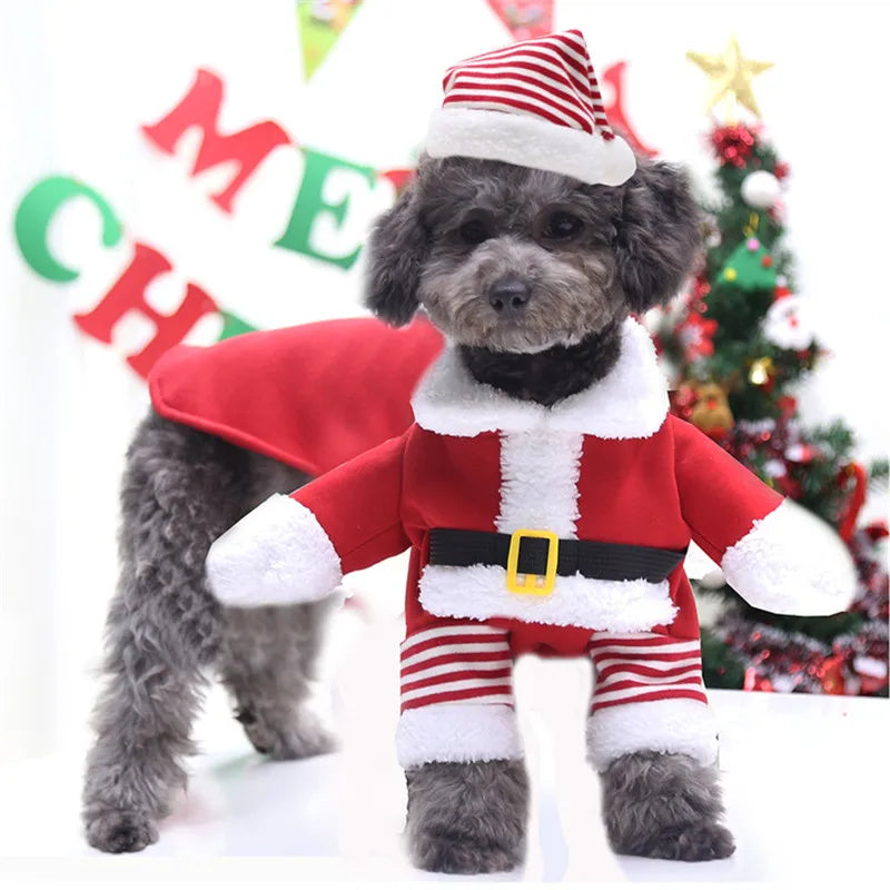 MerryPaws Dog Outfit