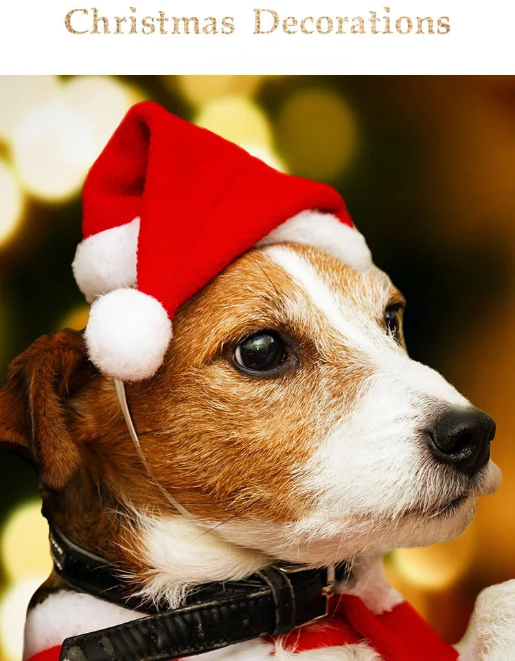 SantaPaw Pet Hat