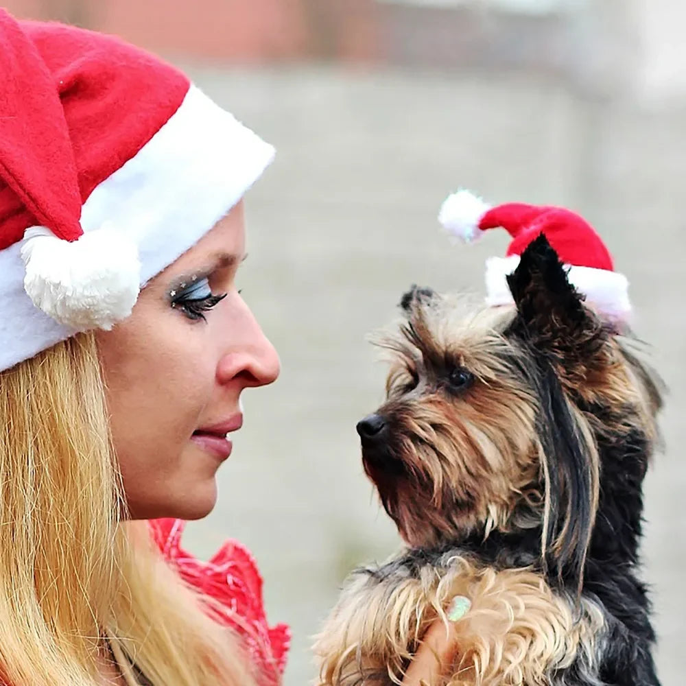 SantaPaw Pet Hat
