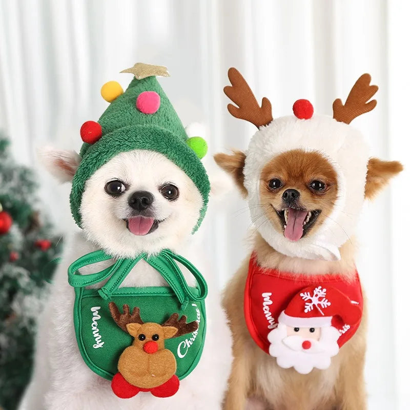 PawReindeer Pet Set