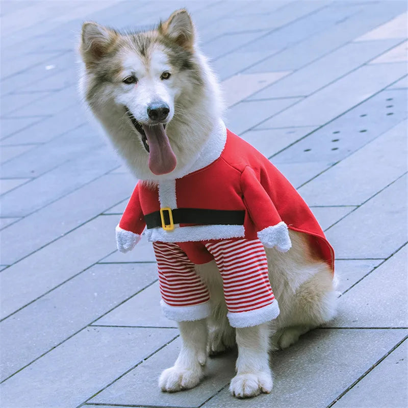 MerryPaws Dog Outfit
