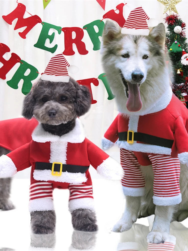 MerryPaws Dog Outfit