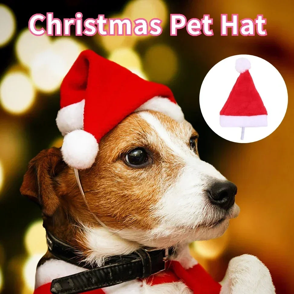 SantaPaw Pet Hat